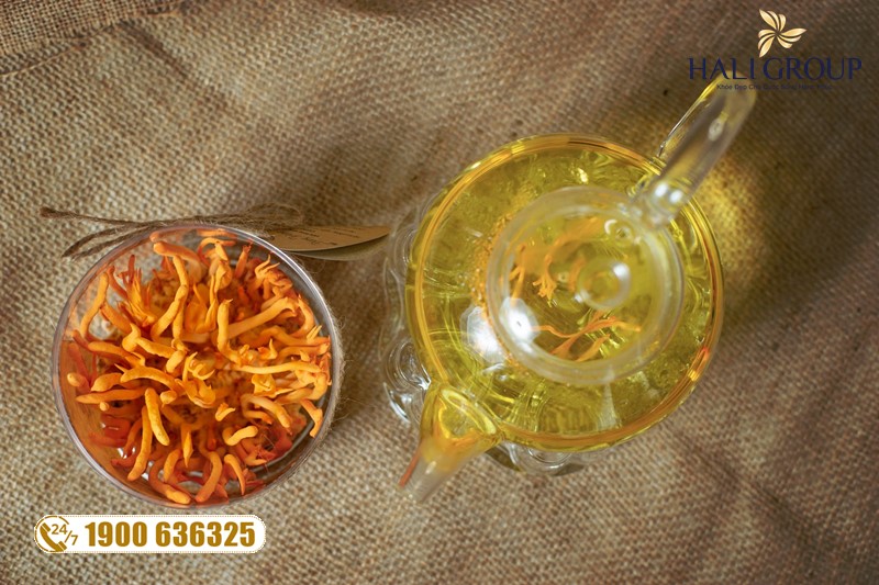 Đánh giá về Đông Trùng Hạ Thảo Kim Cương Vàng Tiến Luật của một số chị em sau một thời gian sử dụng sản phẩm