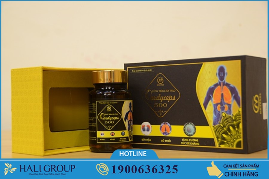 Viên Nang Đông Trùng Hạ Thảo 500 Mailands - thực phẩm "vàng" cho những ai mong muốn bồi bổ cơ thể