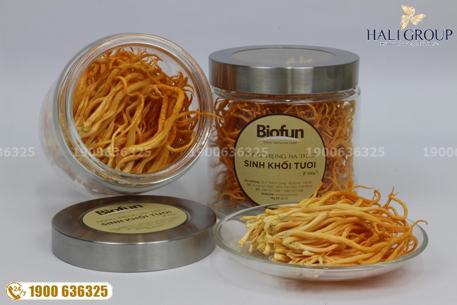 Dược phẩm chăm sóc sức Đông Trùng Hạ Thảo Biofun Việt Nam: nhà nuôi trồng đông trùng hạ thảo uy tín hiện nay