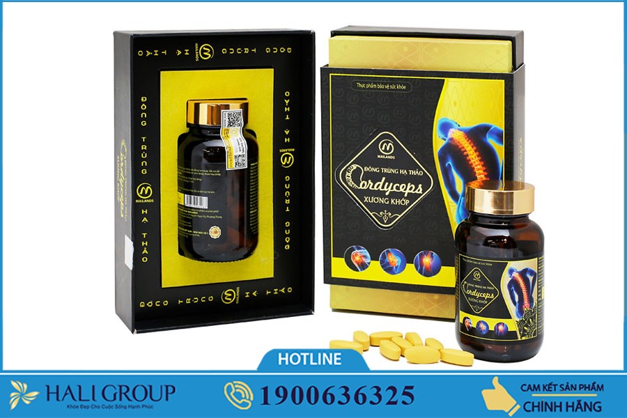 Đông Trùng Hạ Thảo Xương Khớp Mailands - thực phẩm "vàng" cho sức khỏe của bạn